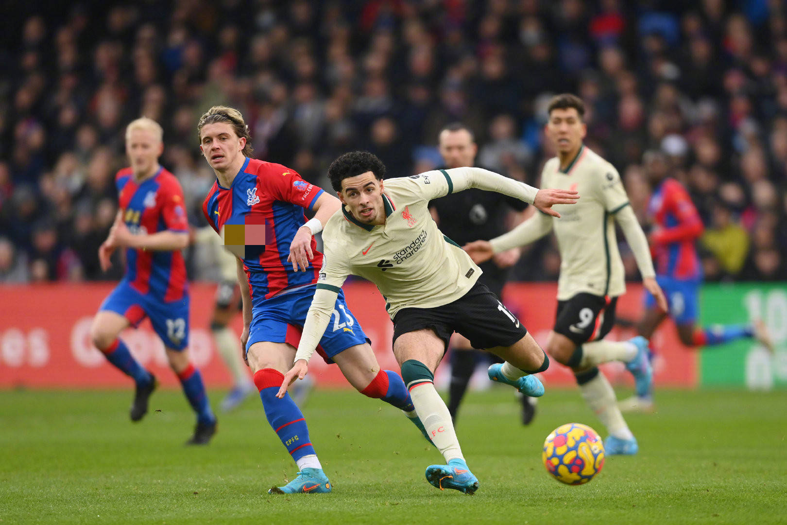 到球队的战 到球队的战